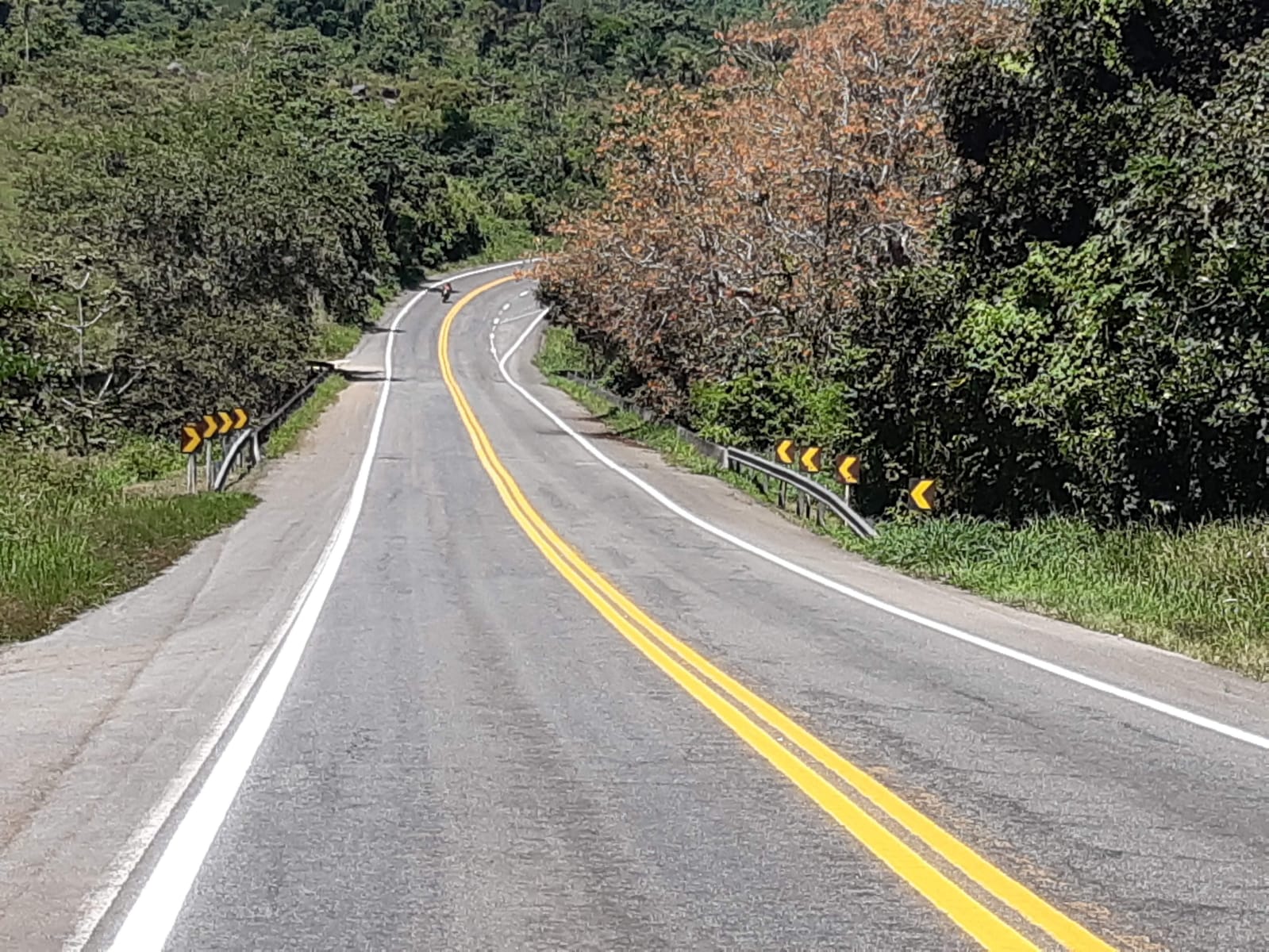 DNIT emite alerta para o risco de queda de árvores e deslizamento de terra na BR 330