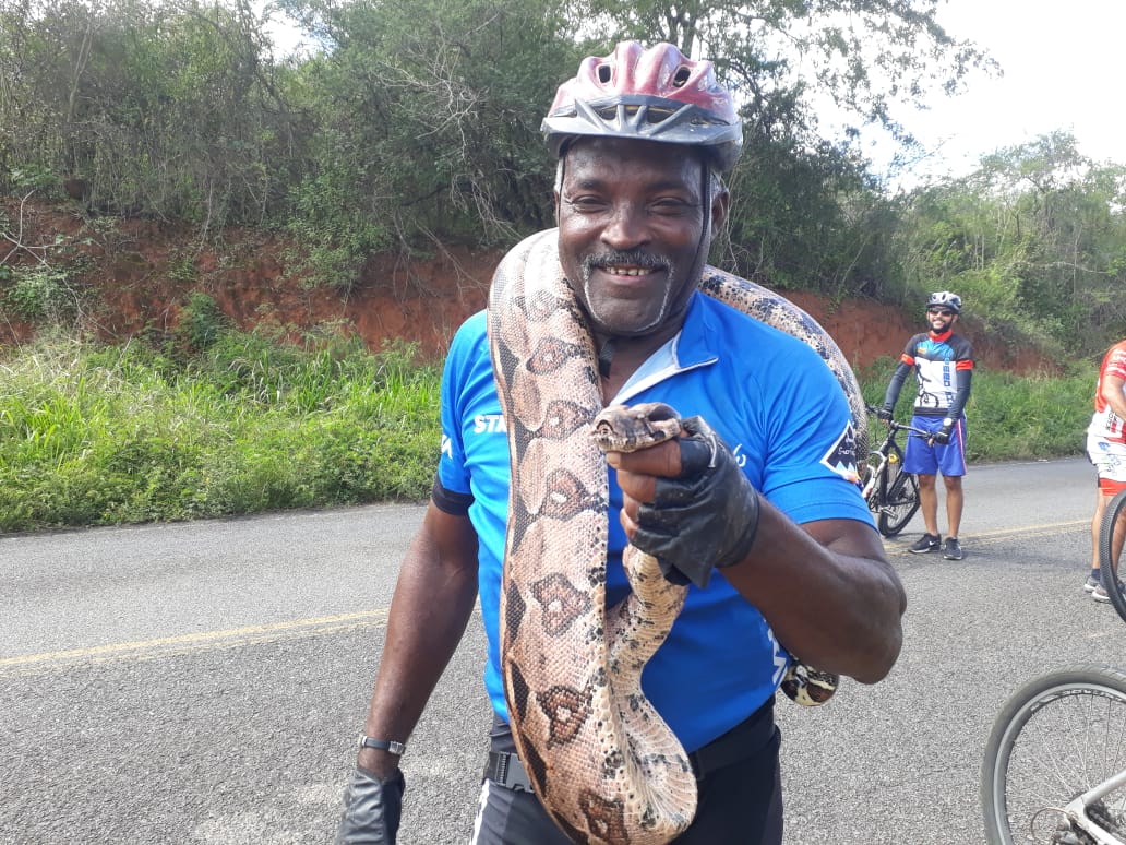 Jequié: grupo de ciclistas salva cobra de atropelamento e devolve a natureza