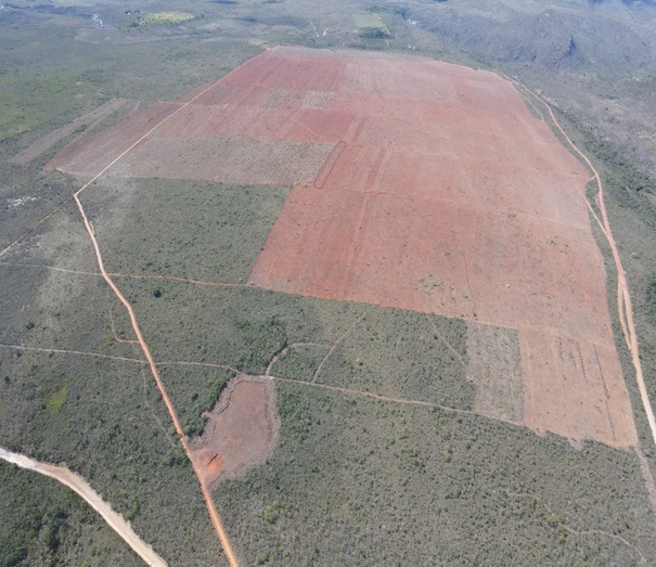 MP ajuíza ação contra desmatamento ilegal em fazenda do agronegócio em Piatã MP ajuíza ação contra desmatamento ilegal em fazenda do agronegócio em Piatã