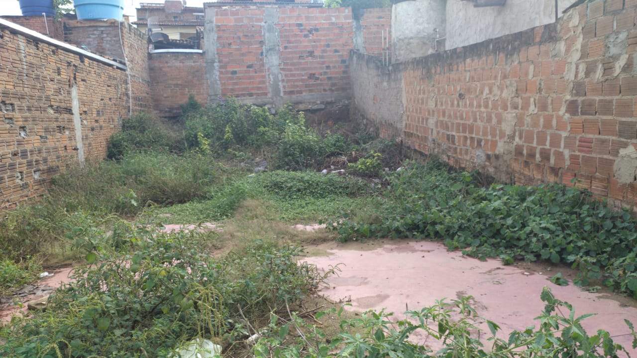 Aqui o povo fala – moradores denunciam terreno abandonado na Rua Alice Pina Aqui o povo fala – moradores denunciam terreno abandonado na Rua Alice Pina