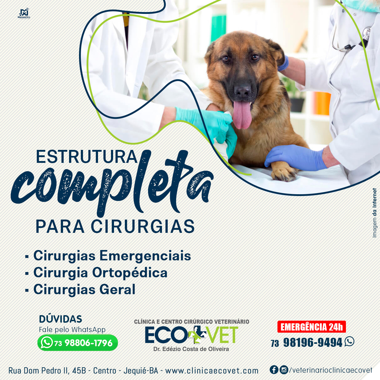 Ecovet tem a melhor estrutura para cirurgia do seu pet Ecovet tem a melhor estrutura para cirurgia do seu pet