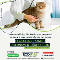 Ecovet - Um hospital completo e preparado pra receber o seu melhor amigo