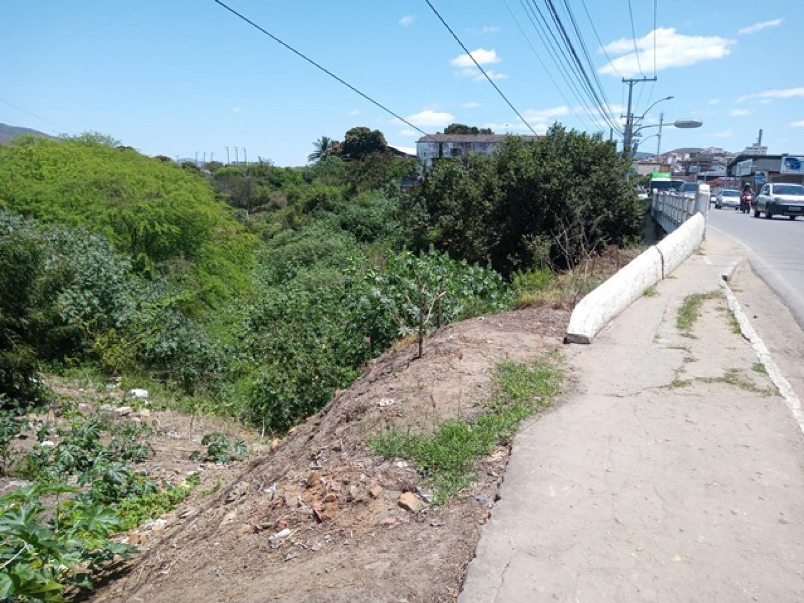 Coluna Jorge Barros:   O Rio Jequiezinho - A segunda face da tragédia, vista de uma ponte não tão longe demais