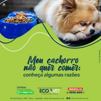 Ecovet - falta de apetite repentina do seu pet pode ser problema