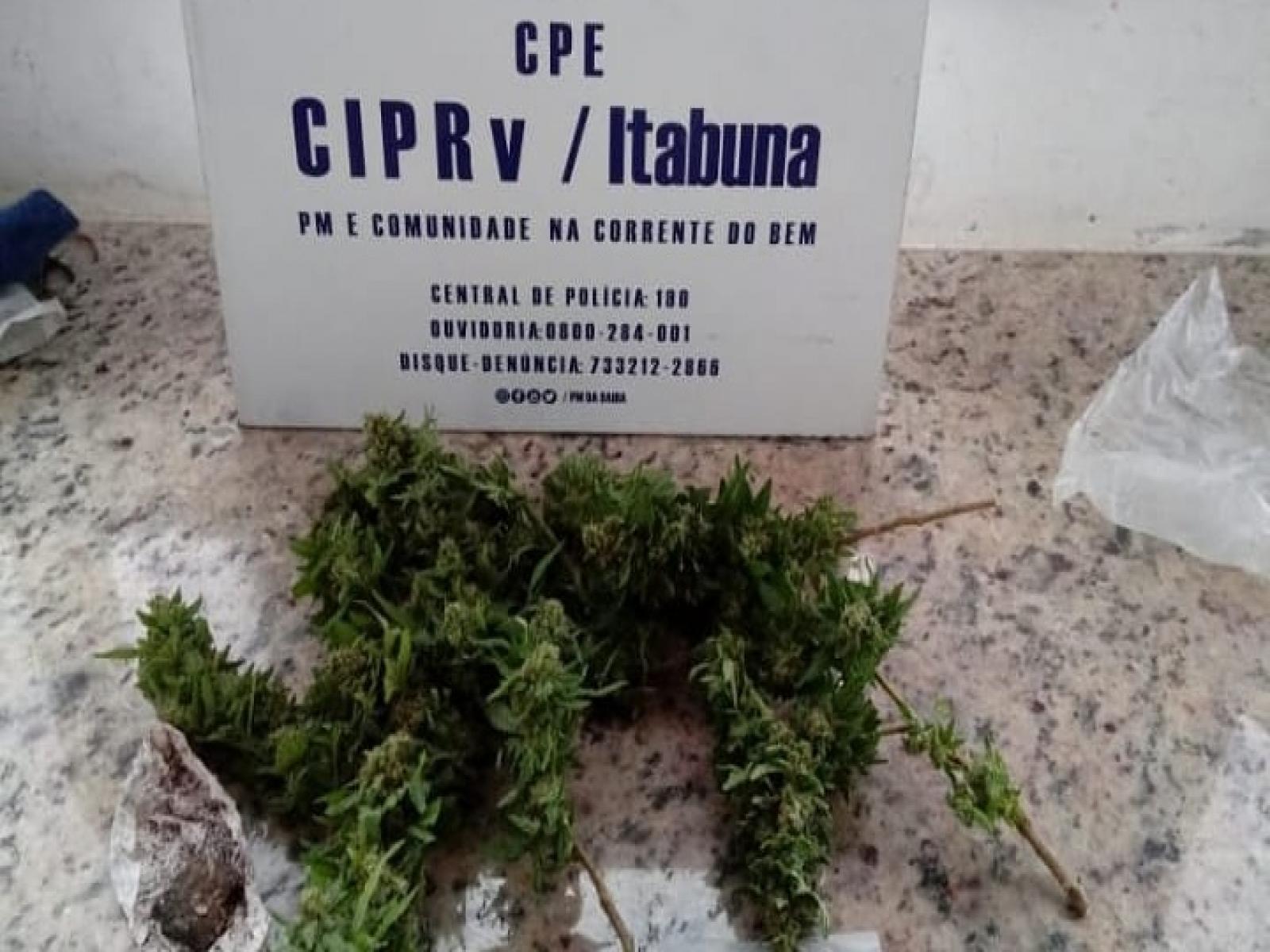 Polícia Rodoviária deteve motoqueiro que tinha plantio de maconha