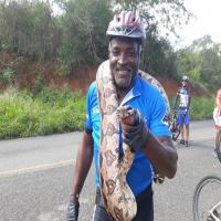 Jequié: grupo de ciclistas salva cobra de atropelamento e devolve a natureza