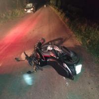 Gado solto na pista provoca acidente na BA 130