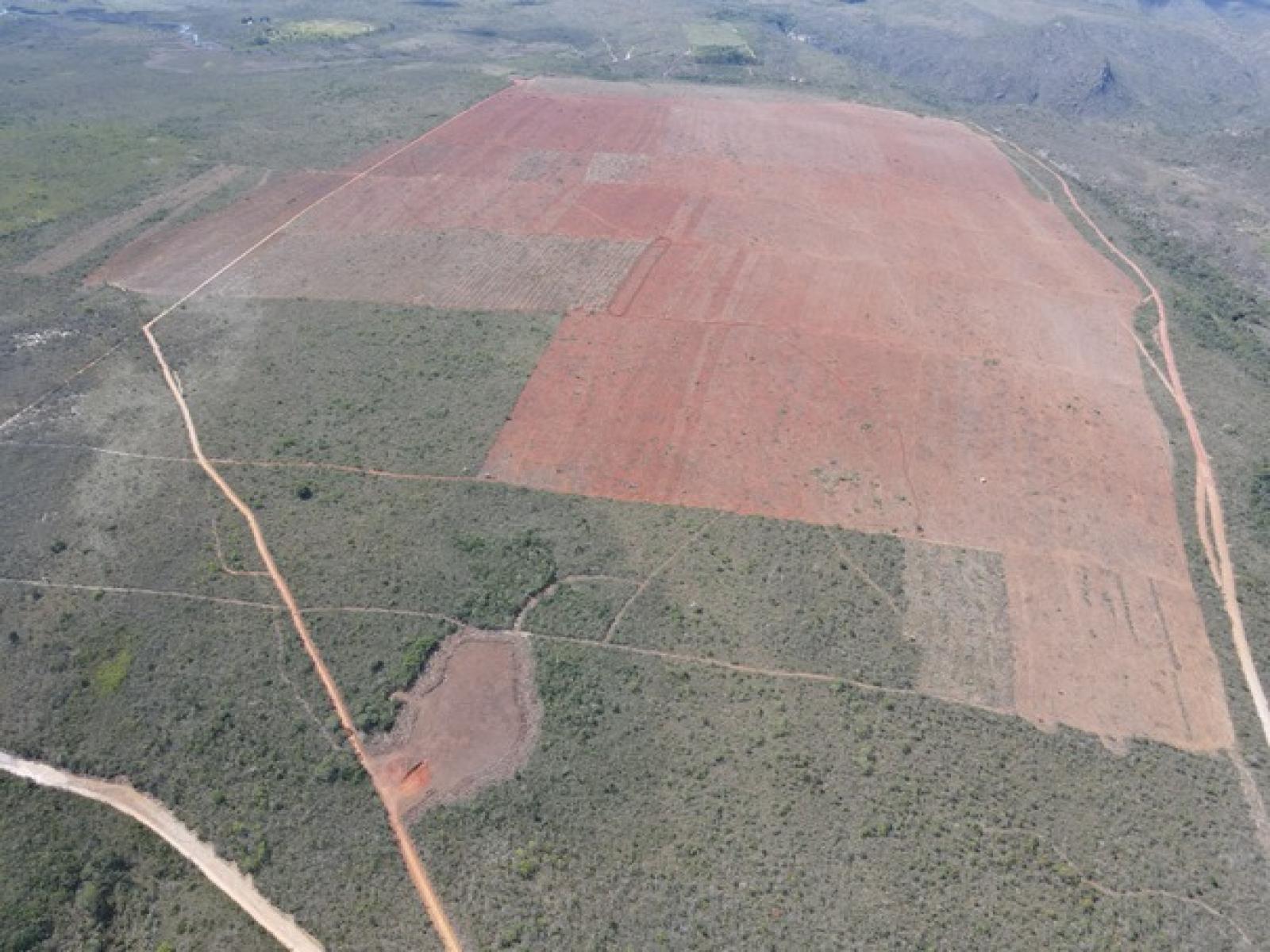 MP ajuíza ação contra desmatamento ilegal em fazenda do agronegócio em Piatã