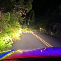Queda de árvore na rodovia Itacaré