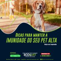 Ecovet - mudança de clima e estresse, podem reduzir a resistência do organismo do seu cãozinho