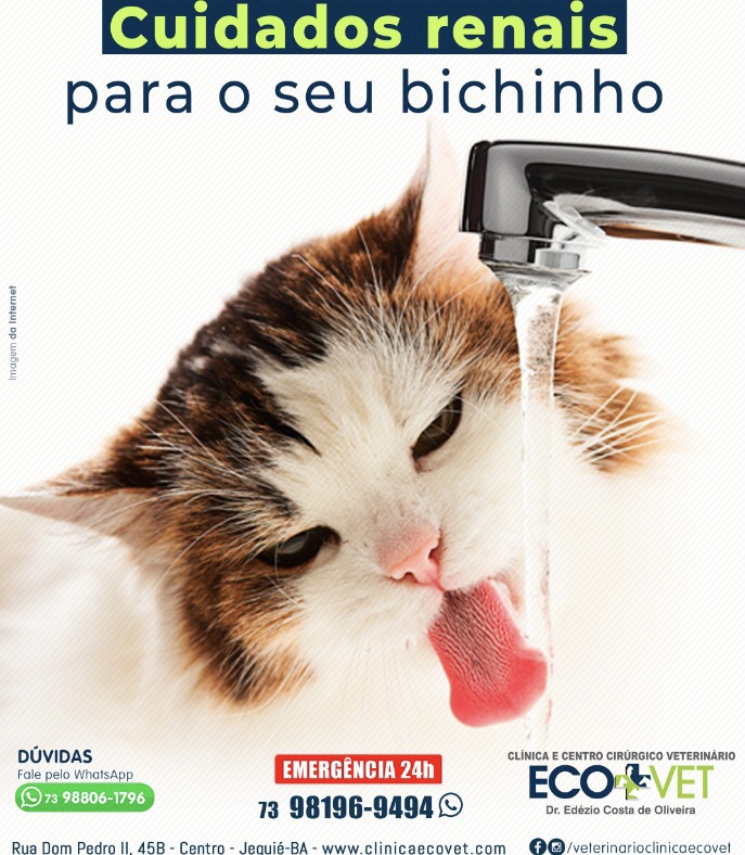 Manter hábitos saudáveis, além de melhorar a saúde geral do seu pet, ajuda também na prevenção de doenças renais. Manter hábitos saudáveis, além de melhorar a saúde geral do seu pet, ajuda também na prevenção de doenças renais.