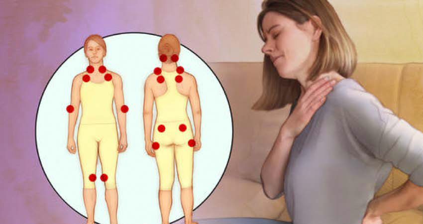 Moana Meira cobra implantação de Programa de Cuidados a Pessoa com Fibromialgia Moana Meira cobra implantação de Programa de Cuidados a Pessoa com Fibromialgia