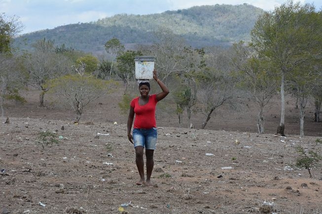 BA: Defesa Civil reconhece a situação de emergência em sete cidades atingidas pela estiagem BA: Defesa Civil reconhece a situação de emergência em sete cidades atingidas pela estiagem