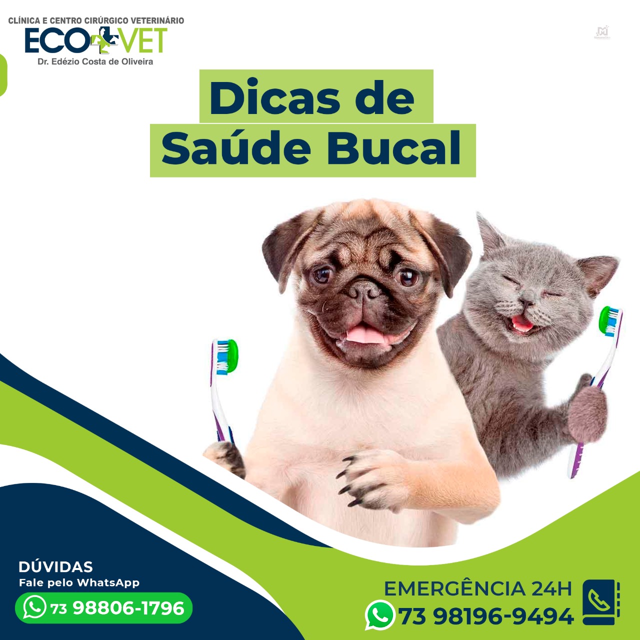 Garantir a saúde bucal do seu pet é fundamental! Garantir a saúde bucal do seu pet é fundamental!