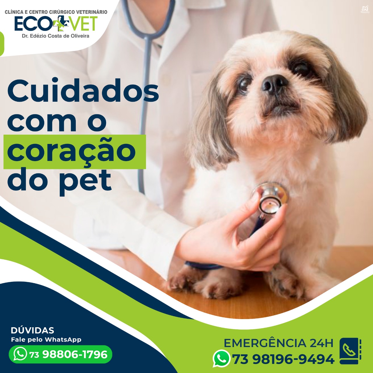Ecovet: cuidado com o coração do seu pet Ecovet: cuidado com o coração do seu pet