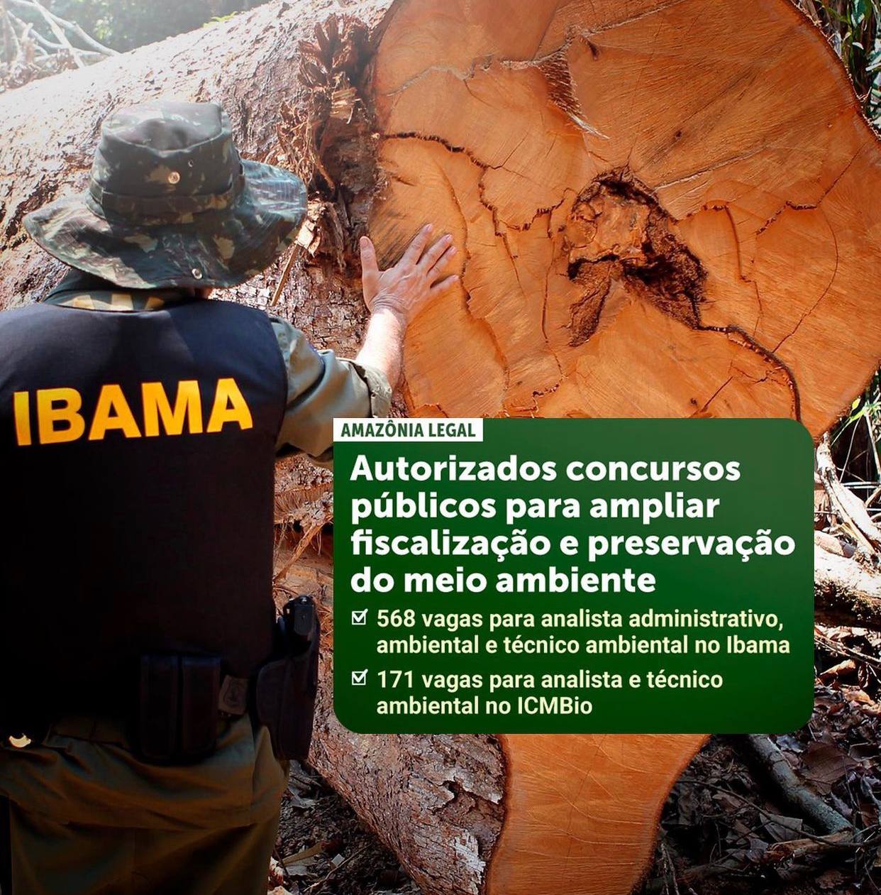 Concurso público: Governo Federal oferece 739 vagas de cargos efetivos no Ibama e no ICMBio Concurso público: Governo Federal oferece 739 vagas de cargos efetivos no Ibama e no ICMBio