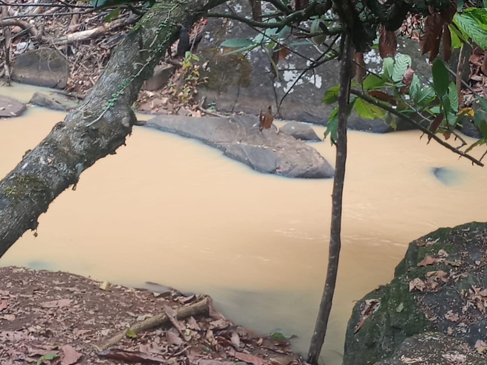 Rio com água barrenta preocupa moradores da região do Cajueiro, em Jequié Rio com água barrenta preocupa moradores da região do Cajueiro, em Jequié