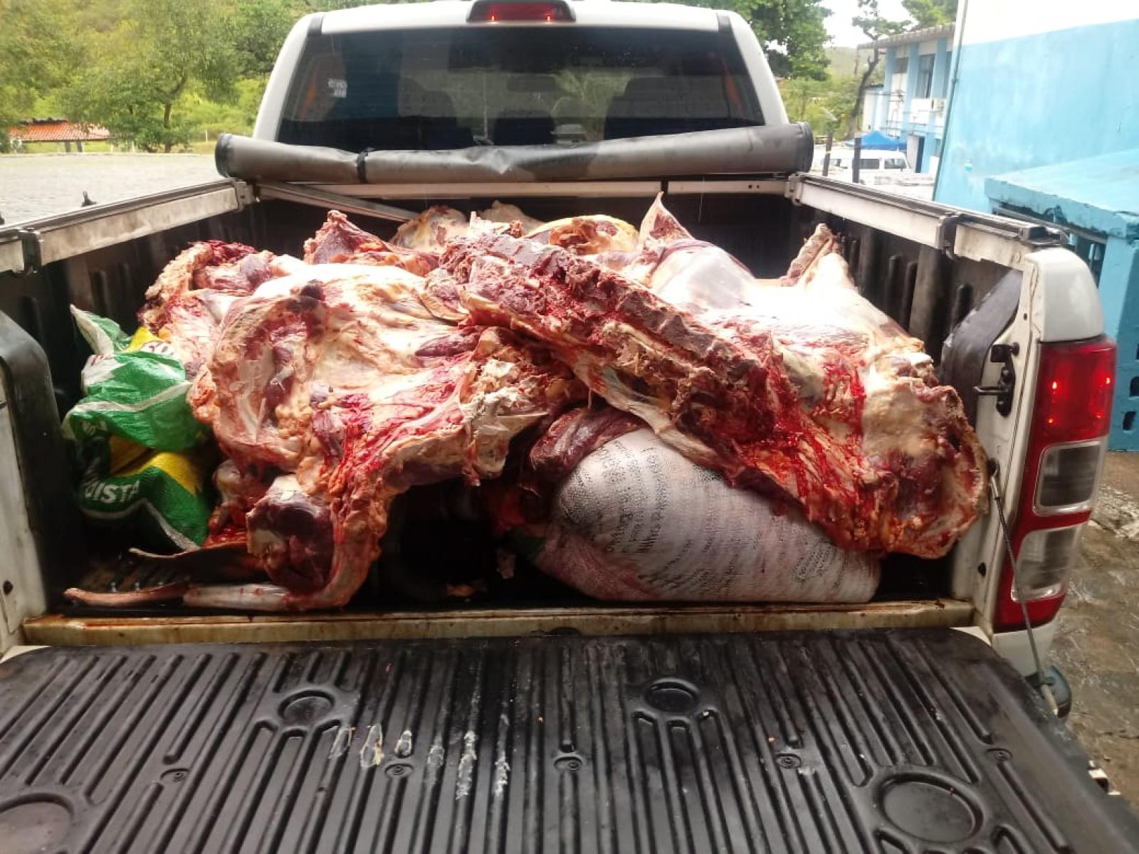 ADAB descobre abate clandestino de gado na zona rural de Boa Nova