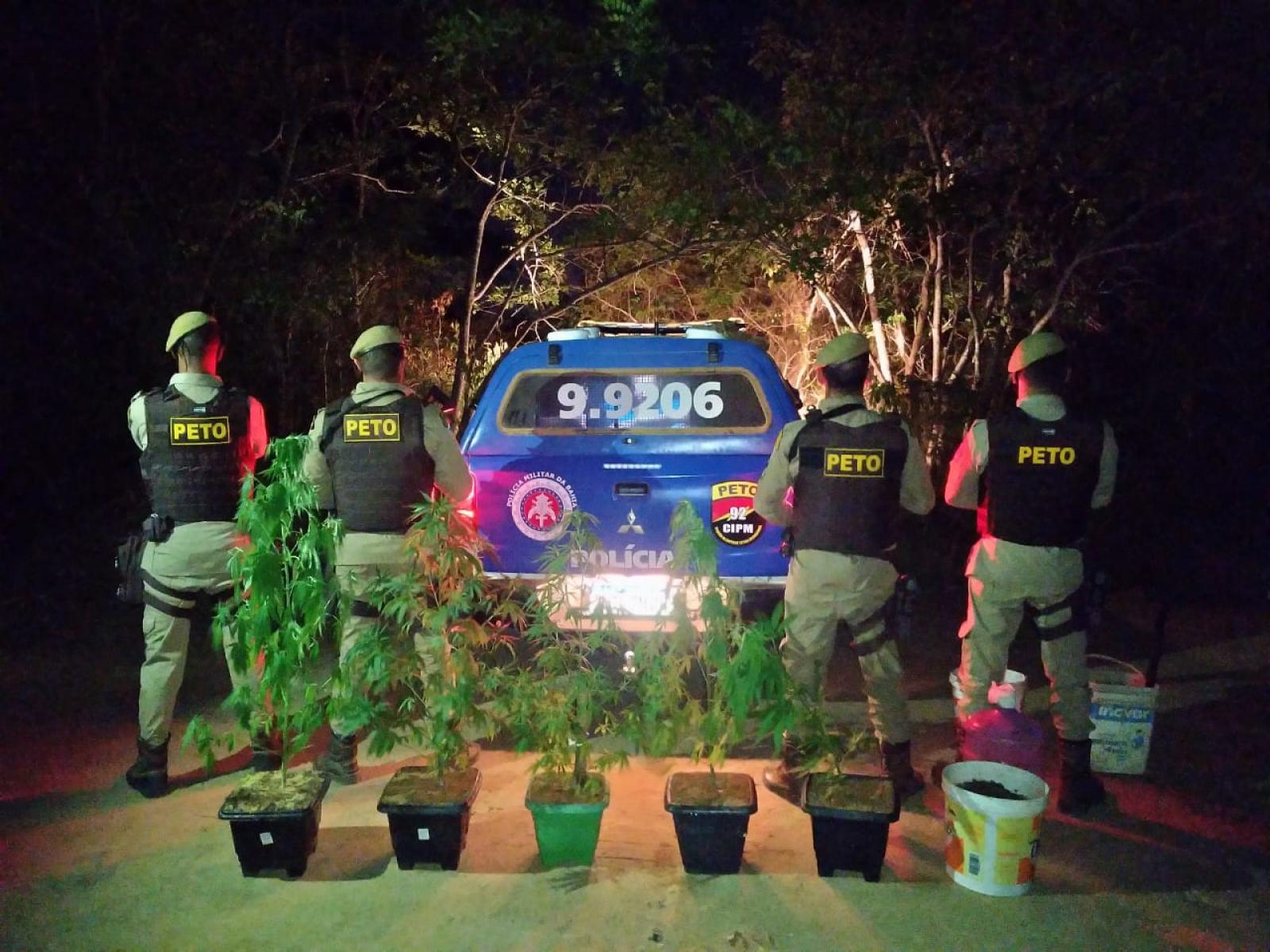 Vitoria da Conquista: PETO descobre plantação de maconha próximo a UESB, um dos envolvidos é de Jequié