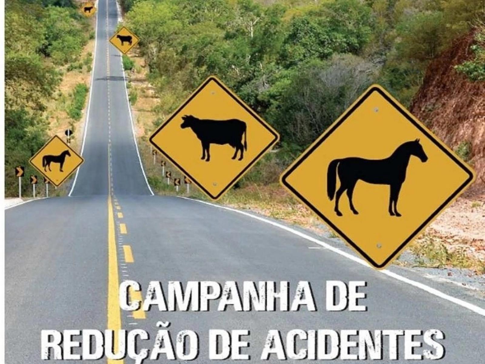 Polícia Rodoviária Estadual debate implantação de projeto para diminuir número de acidentes envolvendo animais nas rodovias