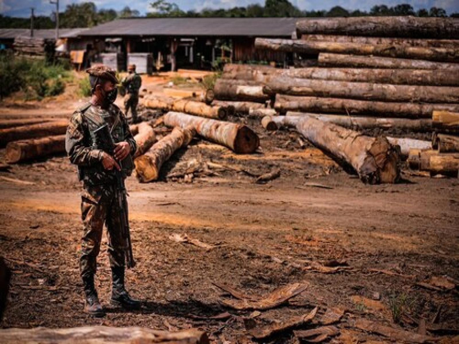 Desmatamento na Amazônia Legal tem queda de 14%