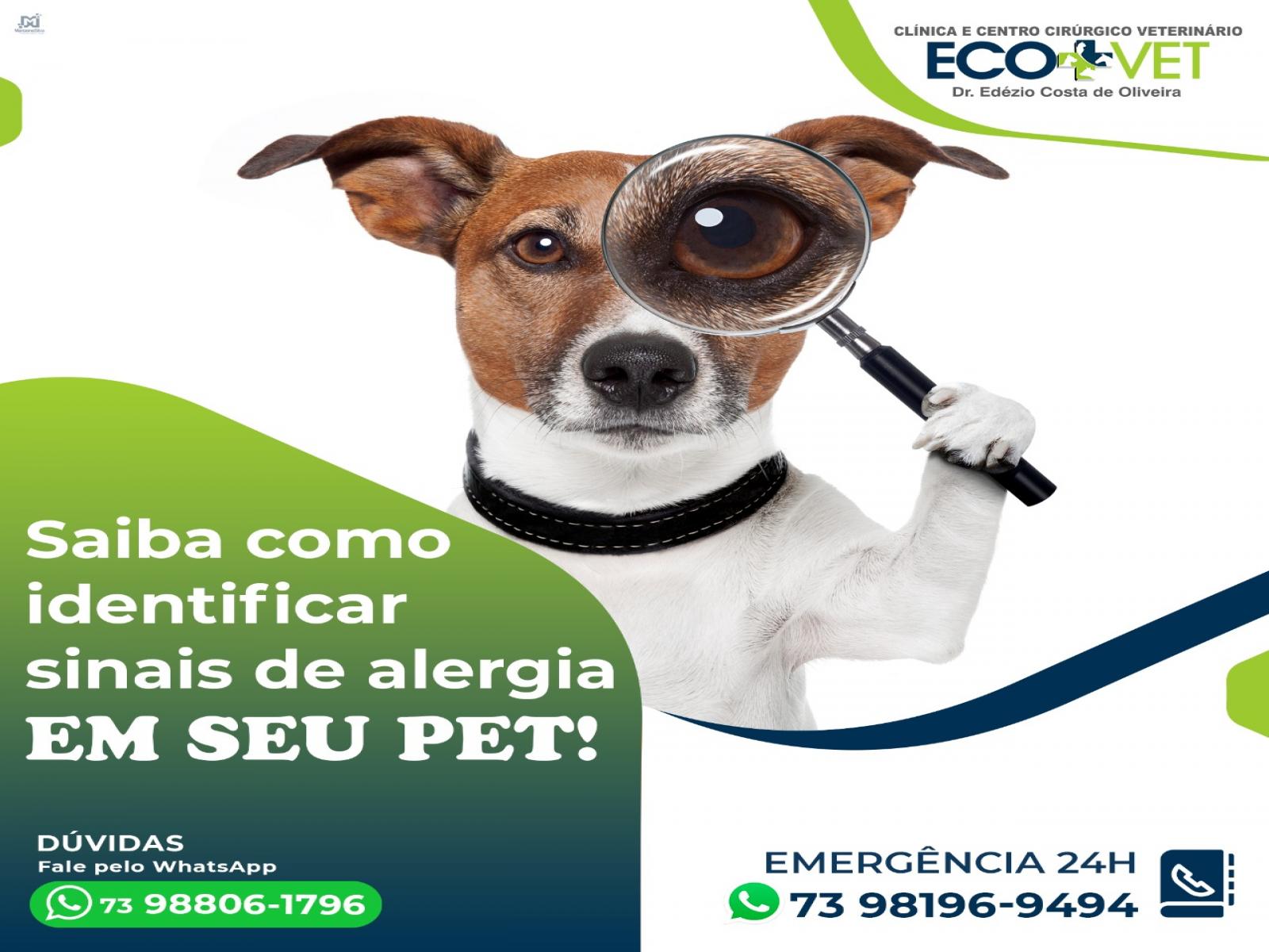 A alergia em cachorro funciona como uma espécie de defesa do organismo contra algo externo que o corpo identifica como ameaça.