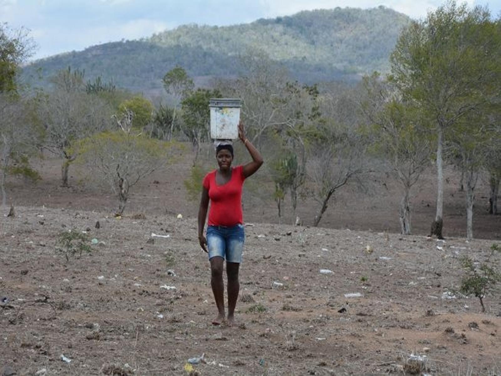 BA: Defesa Civil reconhece a situação de emergência em sete cidades atingidas pela estiagem