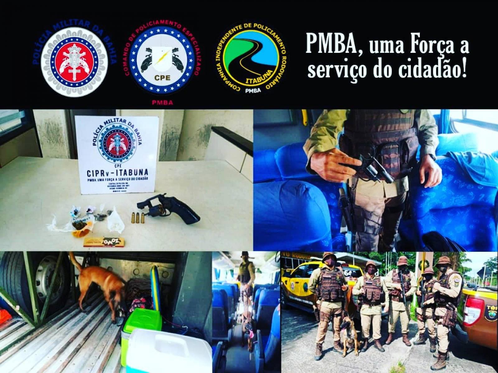 Cão farejador encontra drogas e arma dentro do ônibus coletivo