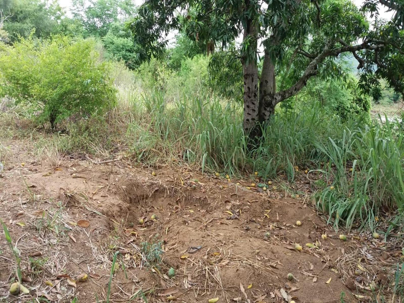 Polícia encontra corpo enterrado em terreno no bairro Curral Novo