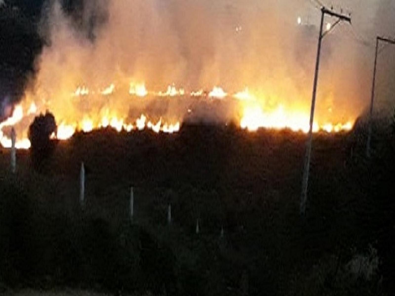 GUARDA MUNICIPAL DE BREJÕES COMBATE INCÊNDIO NO DISTRITO SERRANA.