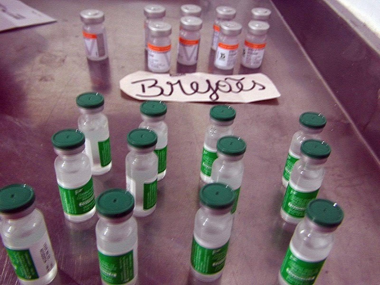 Frascos de vacina contra Covid-19 têm quantidade menor de doses em Brejões e mais 31 cidades da Bahia.