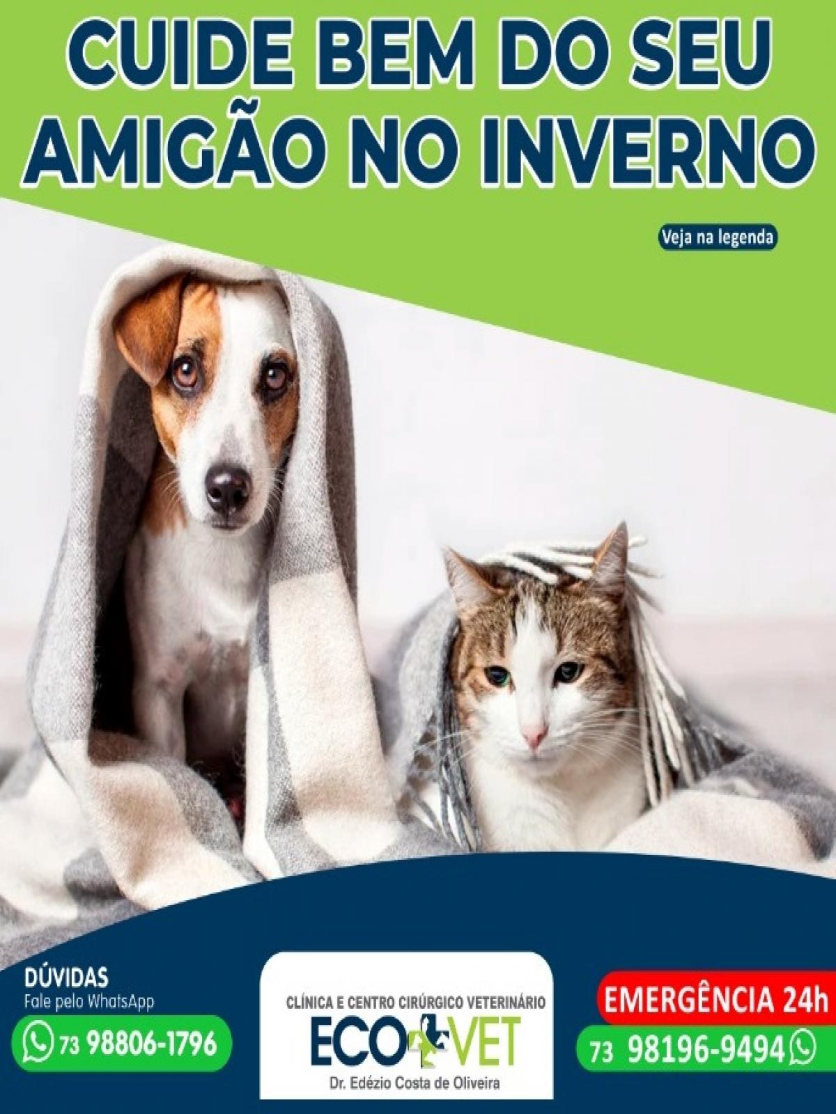 Ecovet: No frio, todo mundo quer ficar quentinho e confortável, inclusive seu pet.