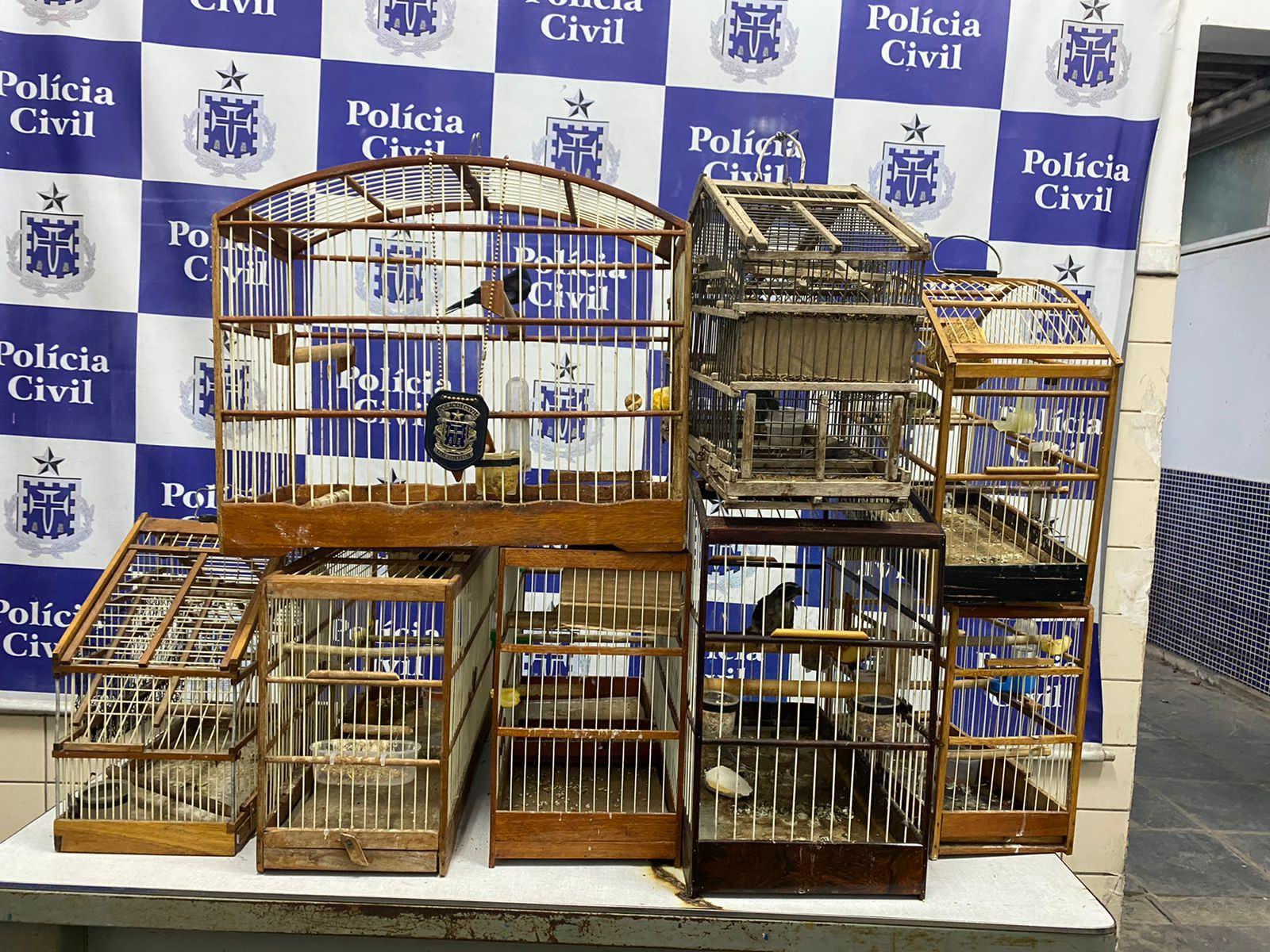 Polícia Civil apreendeu várias gaiolas com pássaros no bairro Jequiezinho