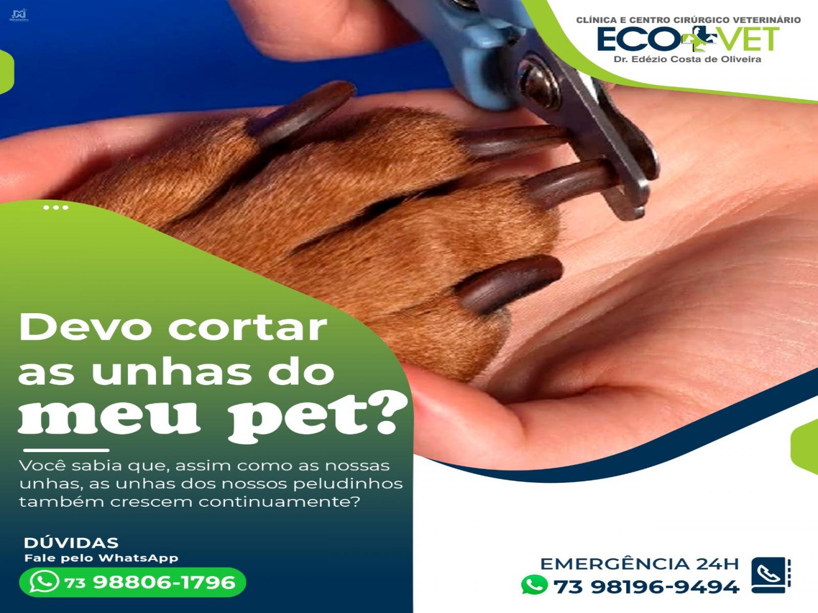 Você sabia que as unhas dos nossos peludinhos também precisam ser cortadas?