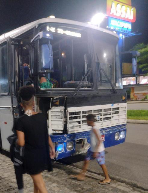 Animal solto na pista provocou acidente com ônibus na BR 330 Animal solto na pista provocou acidente com ônibus na BR 330