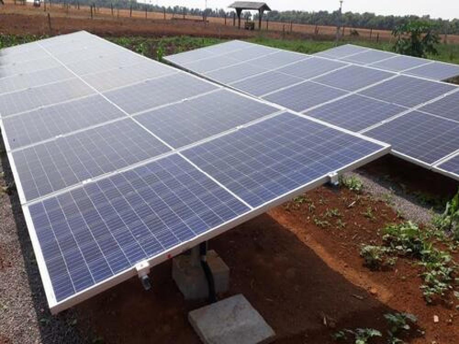 Bolsonaro sanciona lei que regulamenta subsídios para minigeradores de energia elétrica por mais 25 anos