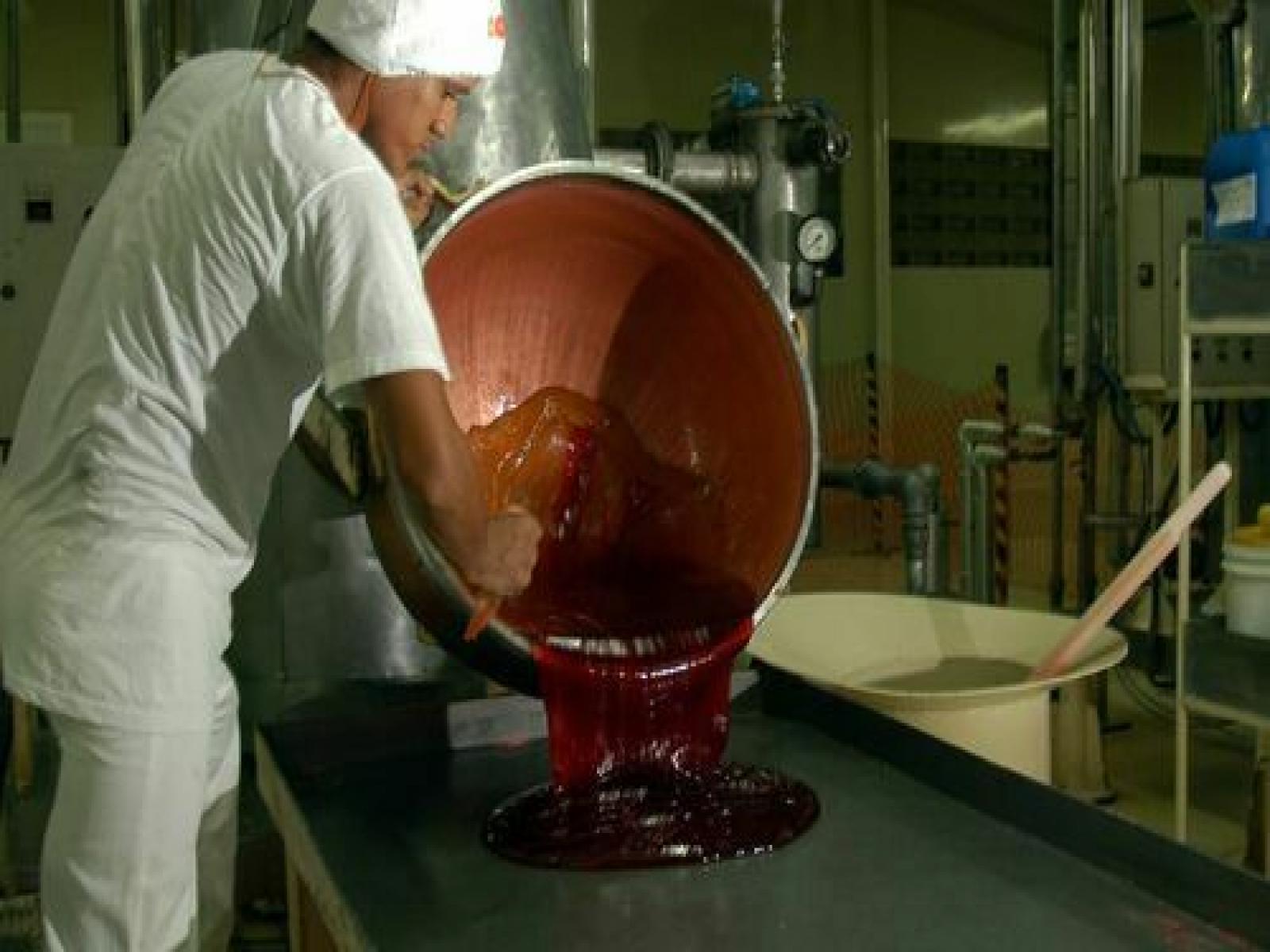 Dia internacional das Micro, Pequenas e Médias Empresas é celebrado nesta segunda-feira