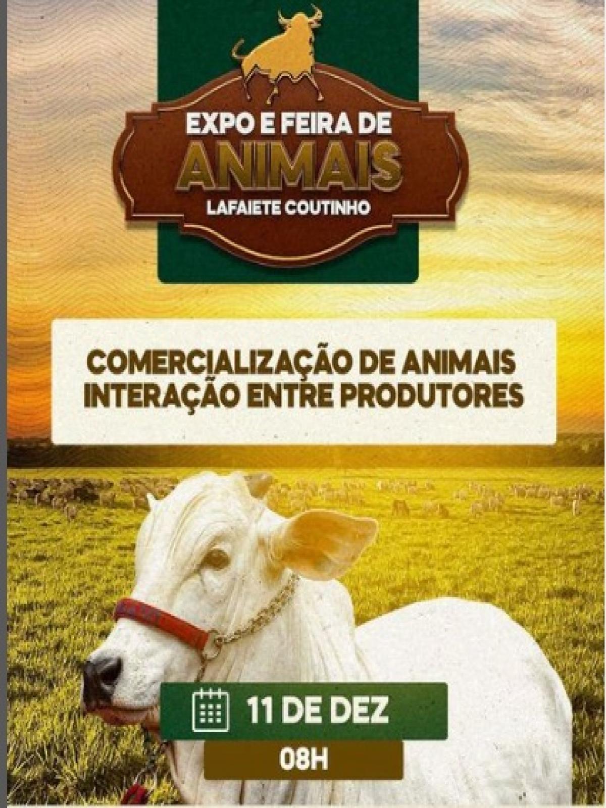 Lafaiete Coutinho: vem aí mais uma edição da Expo e Feira de Animais