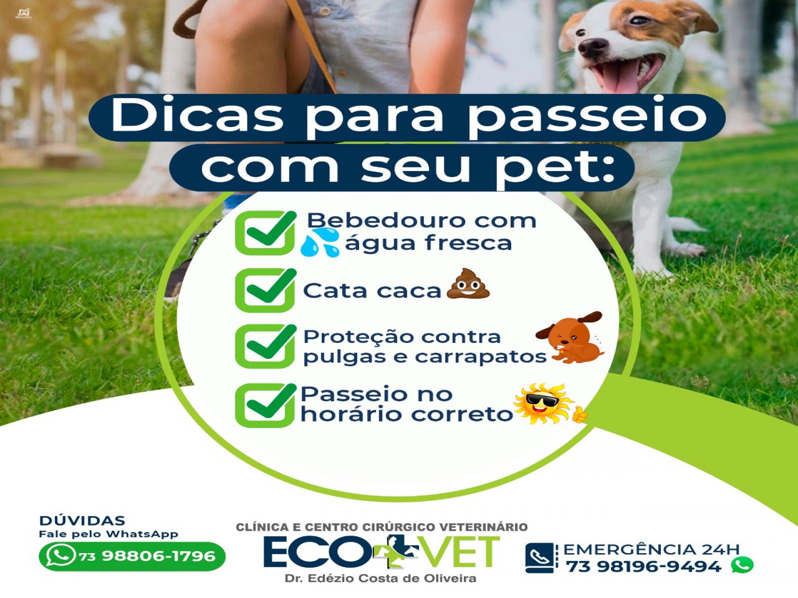 Ecovet: dicas de cuidado para seu pet quando for viajar