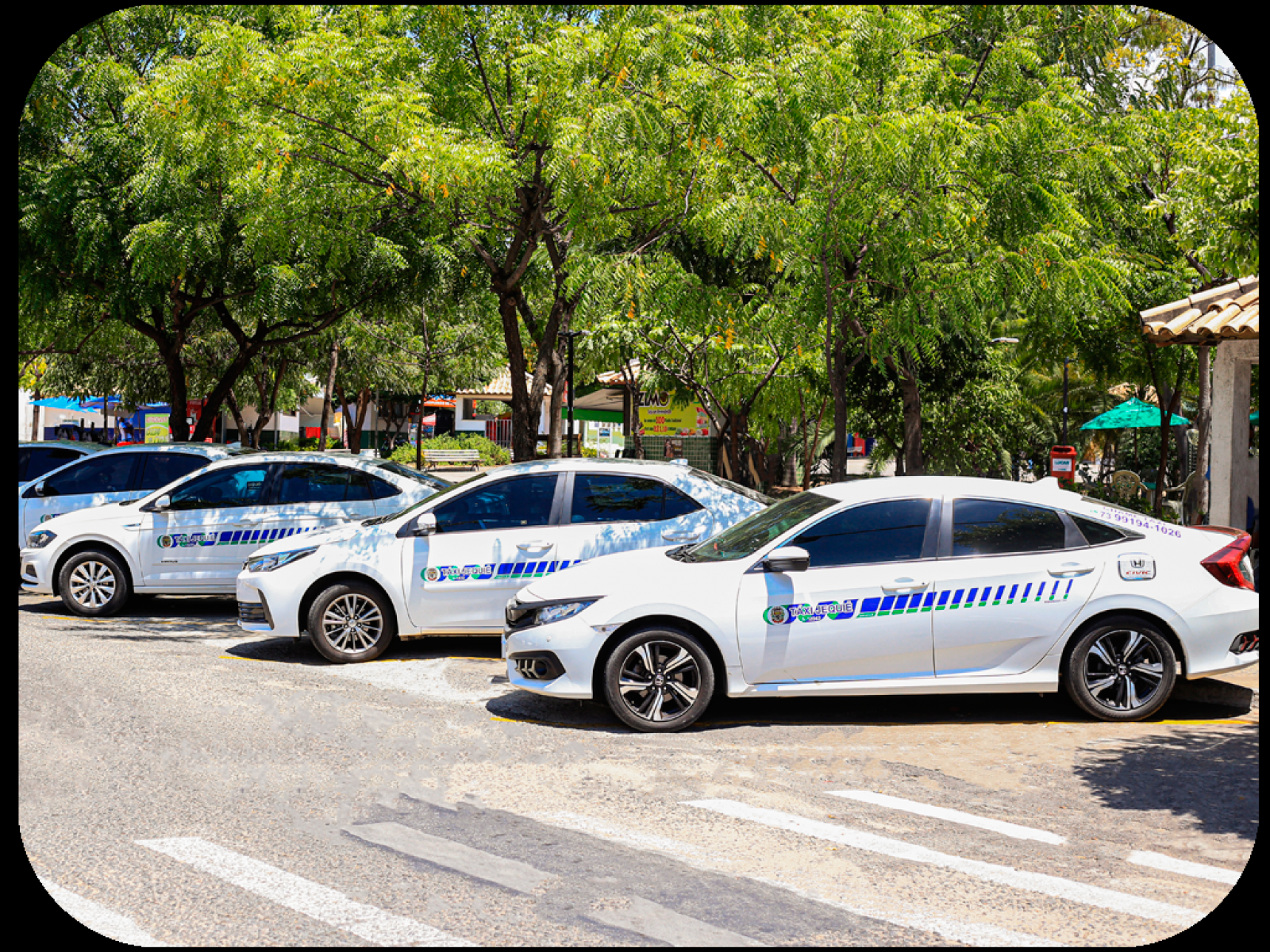 CAIXA antecipa pagamento dos benefícios Caminhoneiro e Taxista em outubro
