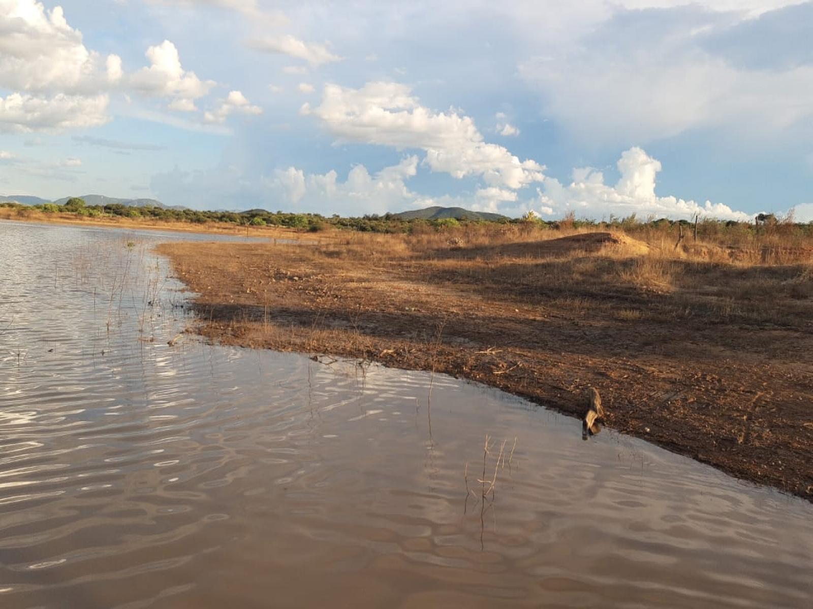 Nível da Barragem da Pedra está baixando muito rápido, ribeirinhos reclamam da Chesf