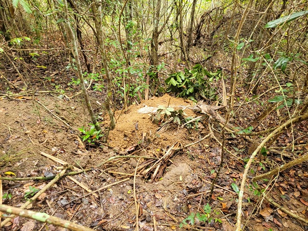 Jovem foi assassinado e enterrado na zona rural de Dário Meira Jovem foi assassinado e enterrado na zona rural de Dário Meira