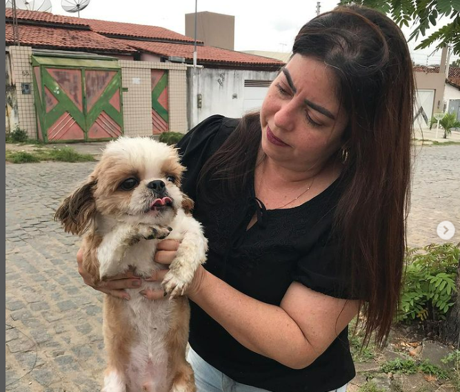 Cão especial aguarda por adoção na ONG Solar Cão especial aguarda por adoção na ONG Solar