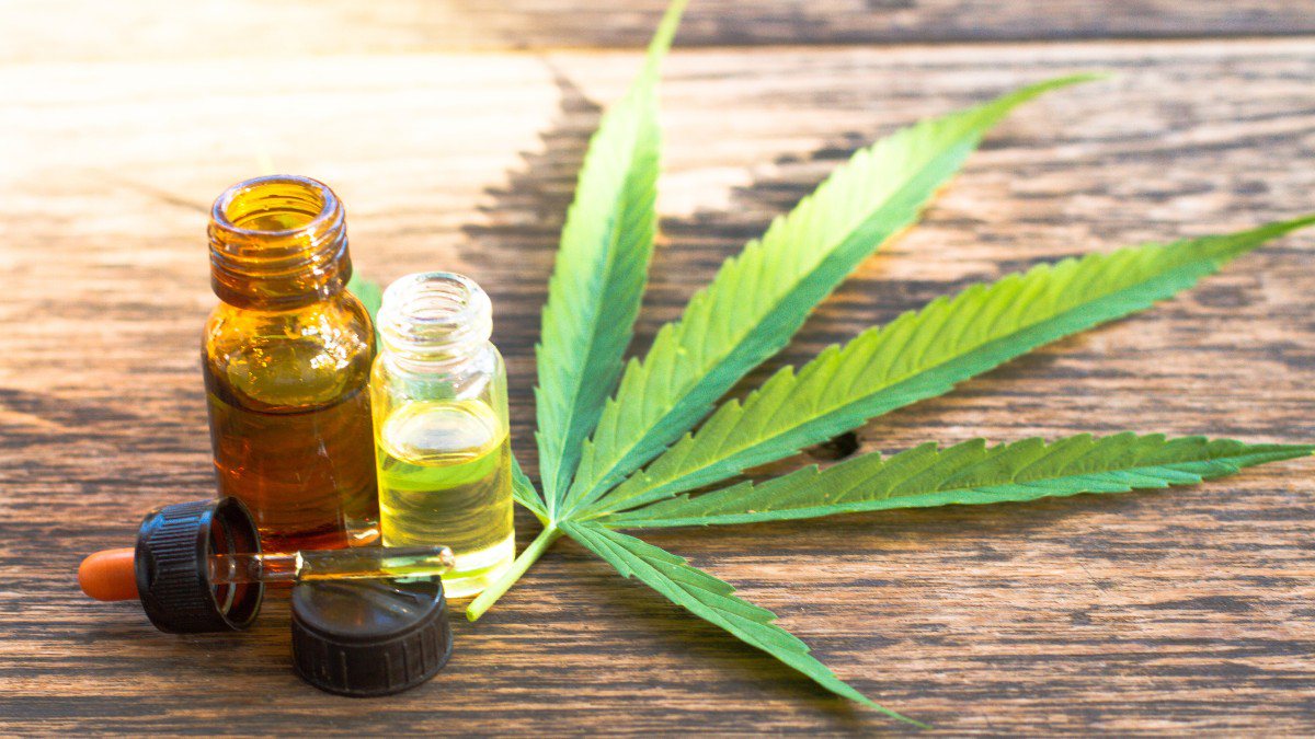 Projeto de Lei estabelece distribuição gratuita de medicamentos à base de Cannabis em Jequié Projeto de Lei estabelece distribuição gratuita de medicamentos à base de Cannabis em Jequié