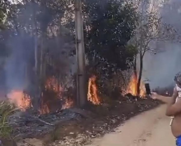 Jitaúna: Queimadas devastam zona rural e mudam rotina de moradores do campo; região do Feto segue em chamas Jitaúna: Queimadas devastam zona rural e mudam rotina de moradores do campo; região do Feto segue em chamas