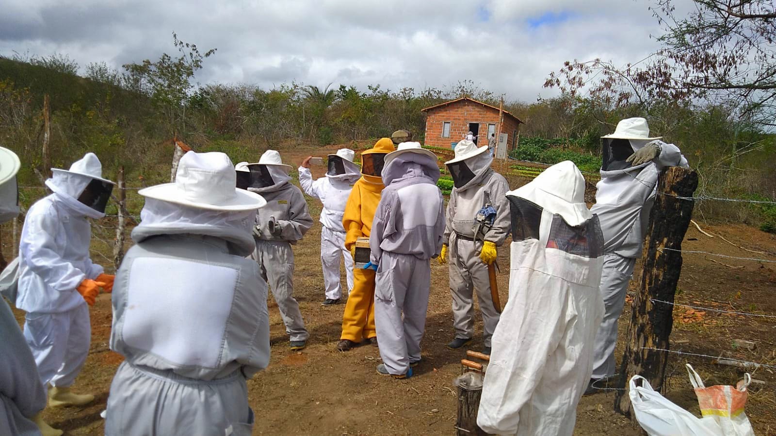 APICULTURA SE TORNA FONTE DE RENDA PARA AGRICULTORES DO ASSENTAMENTO SÃO JUDAS TADEU APICULTURA SE TORNA FONTE DE RENDA PARA AGRICULTORES DO ASSENTAMENTO SÃO JUDAS TADEU