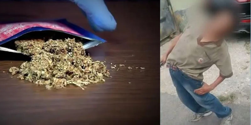 Polícia apreende K9 e centenas de porções de outras drogas Polícia apreende K9 e centenas de porções de outras drogas