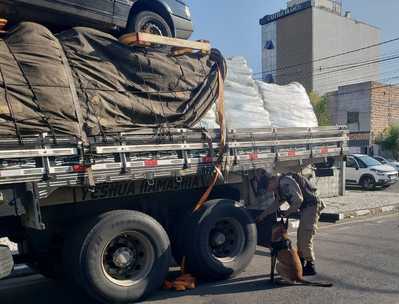 101 kg de cocaína são achados pela PF e PM