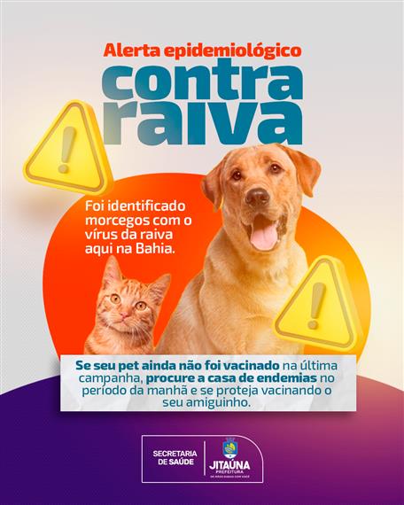 Secretaria de Saúde informa que foi encontrado na Bahia amostras de morcegos portadores do vírus da raiva; cães e gatos devem ser vacinados