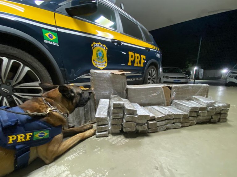 Flagrante na BR 116: PRF apreende tabletes de maconha que seriam comercializados em cidade do interior da Bahia